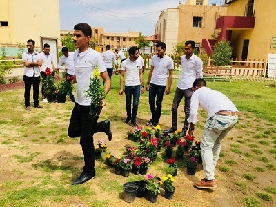 حملة زراعة الكلية